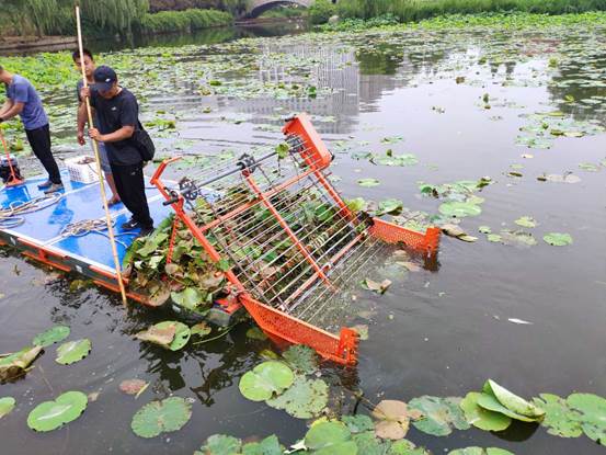 说明: C:\Users\Administrator\Desktop\五洲湖用上新利器——荷叶清割船\微信图片_20190613101216.jpg